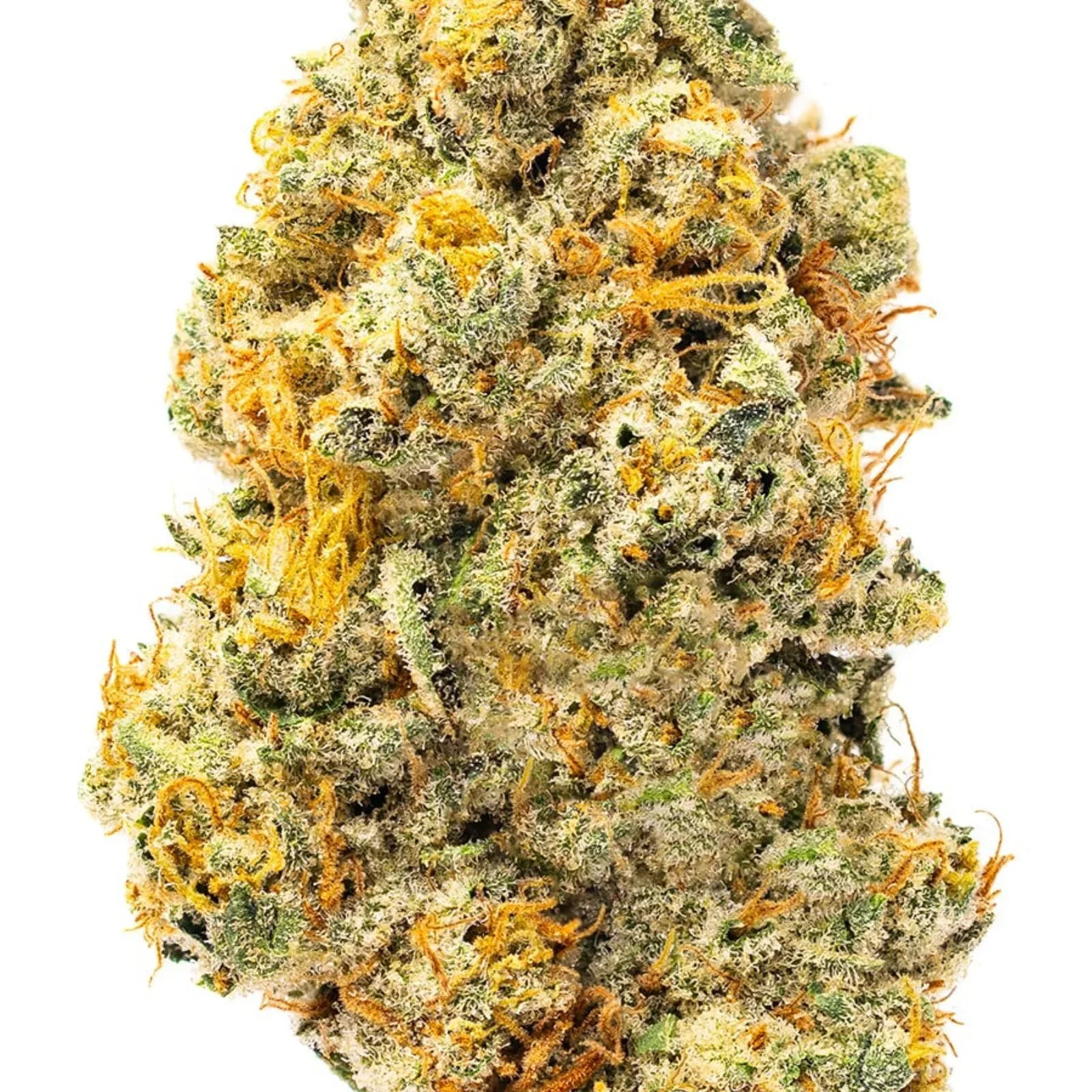 London-Lobster-MS50-CBD-Paris