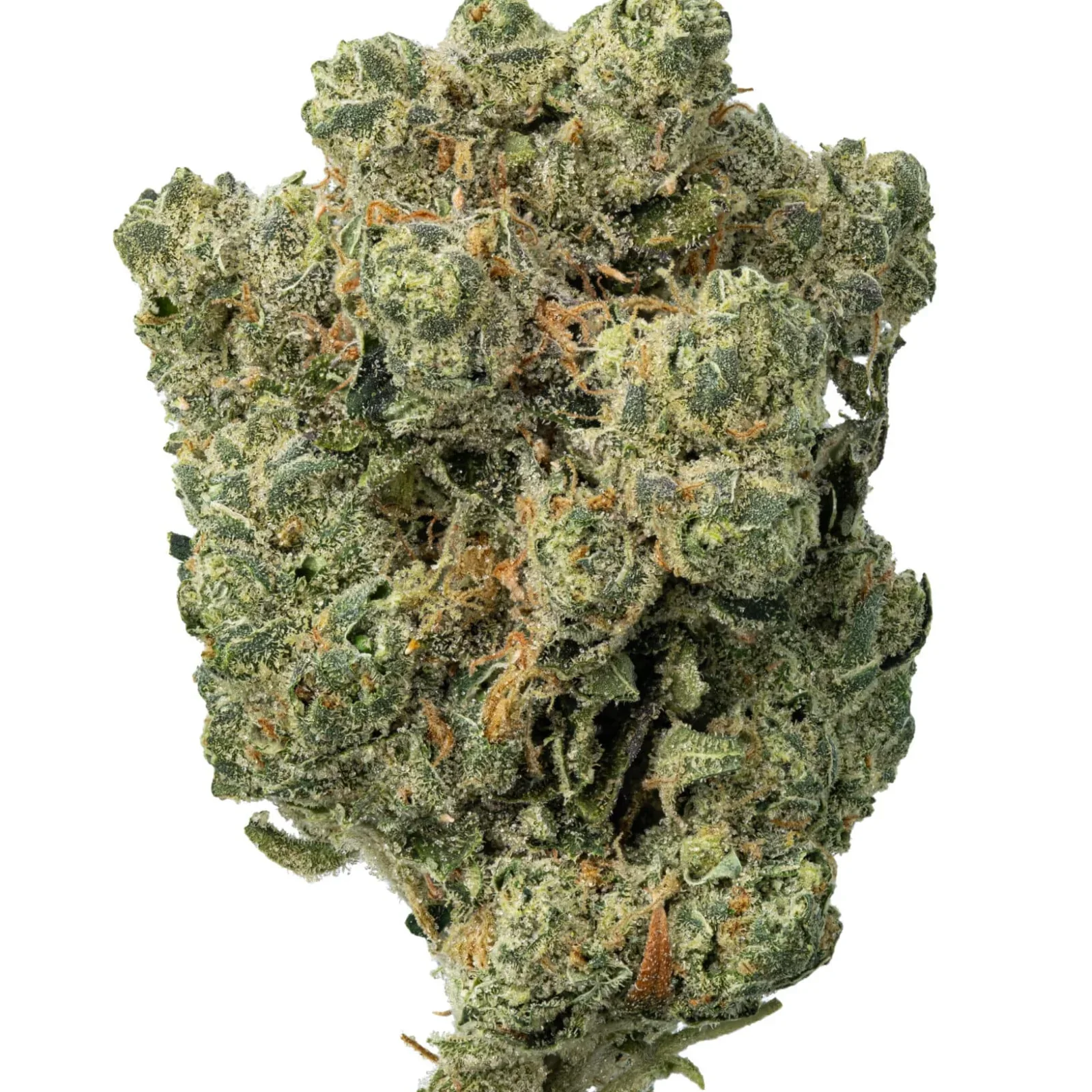 Snow-White-D10-CBD-Paris