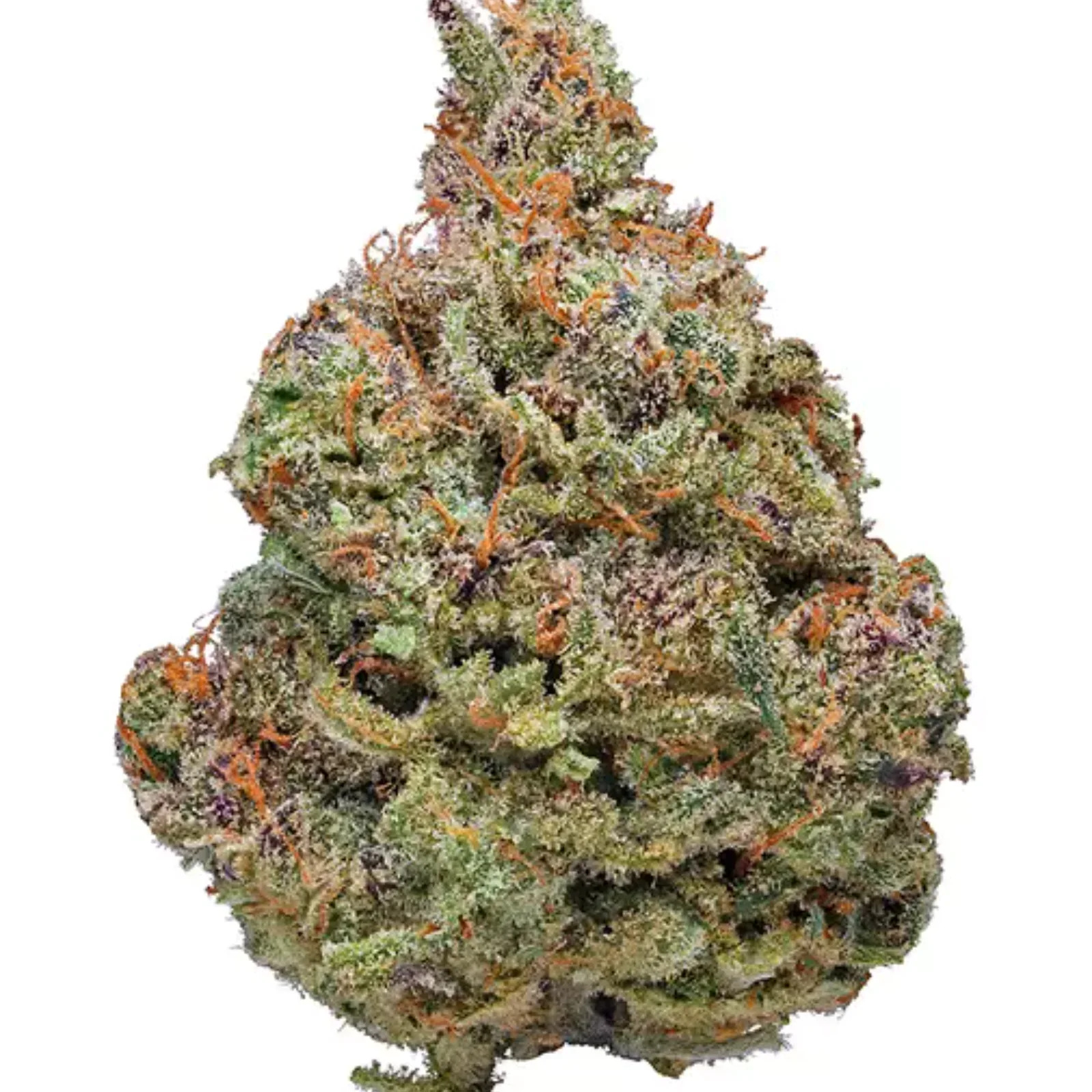 Vanilla-Kush-CBD-Paris