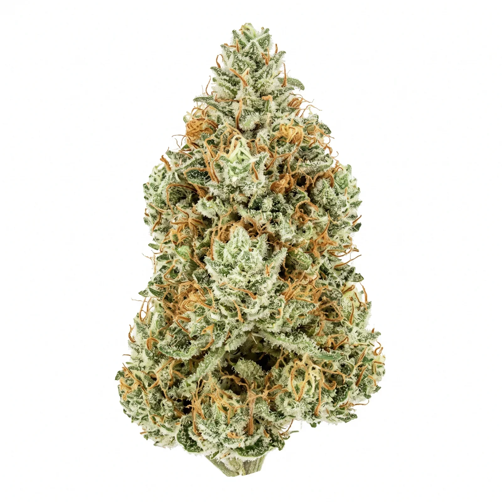 Amnesia-HCE-CBD-Paris