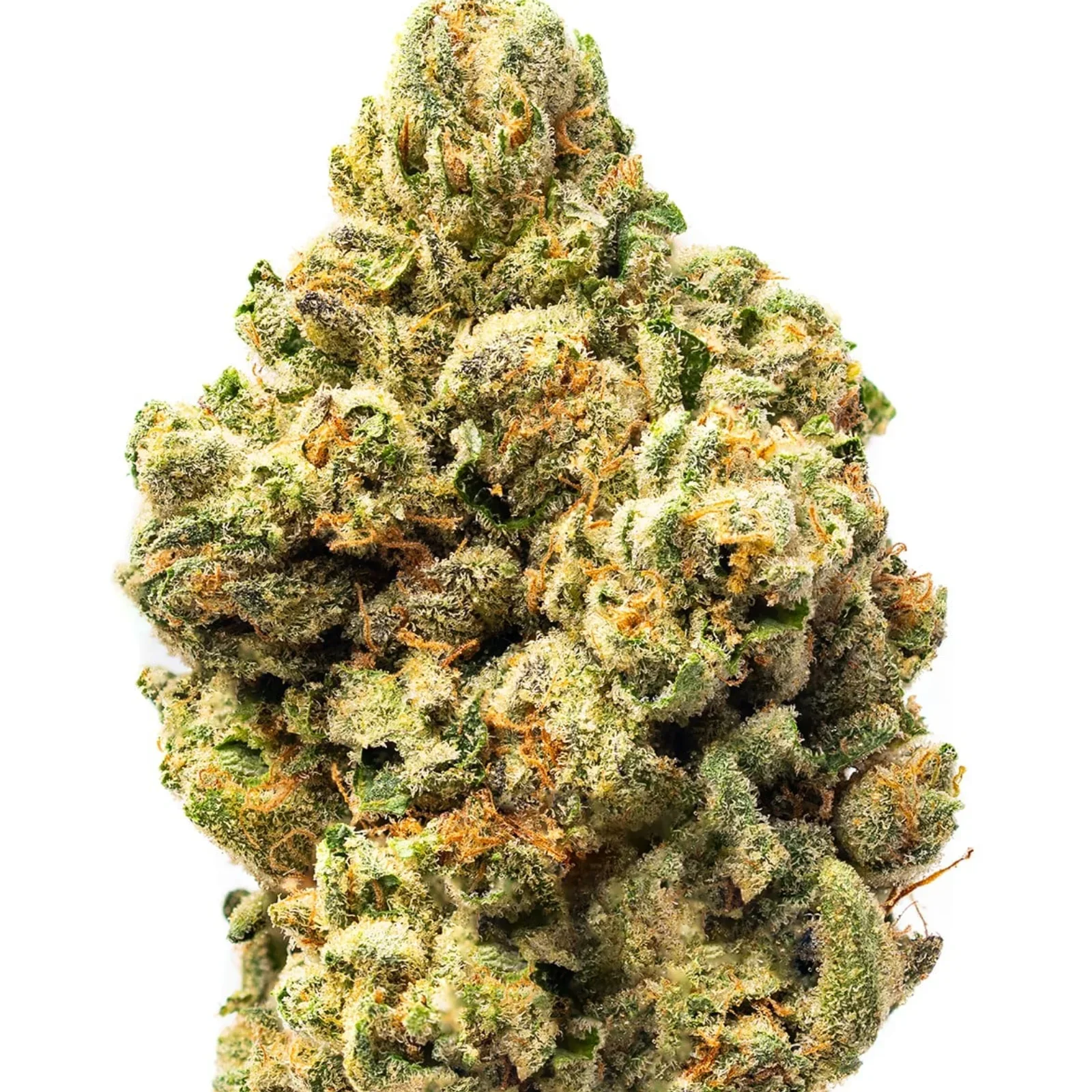 G13-stv15-shift-paris