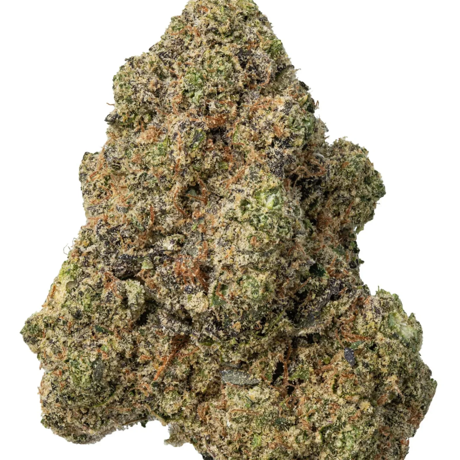 Gorilla-Glue-thvn-shift-paris