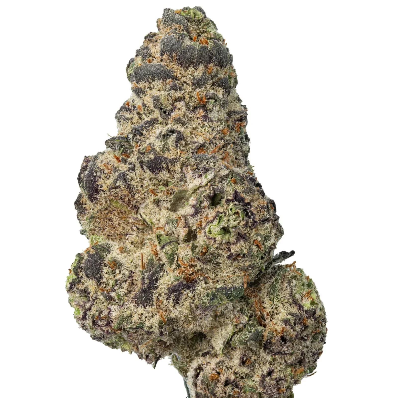Gorilla-Glue-thvn-shift-paris