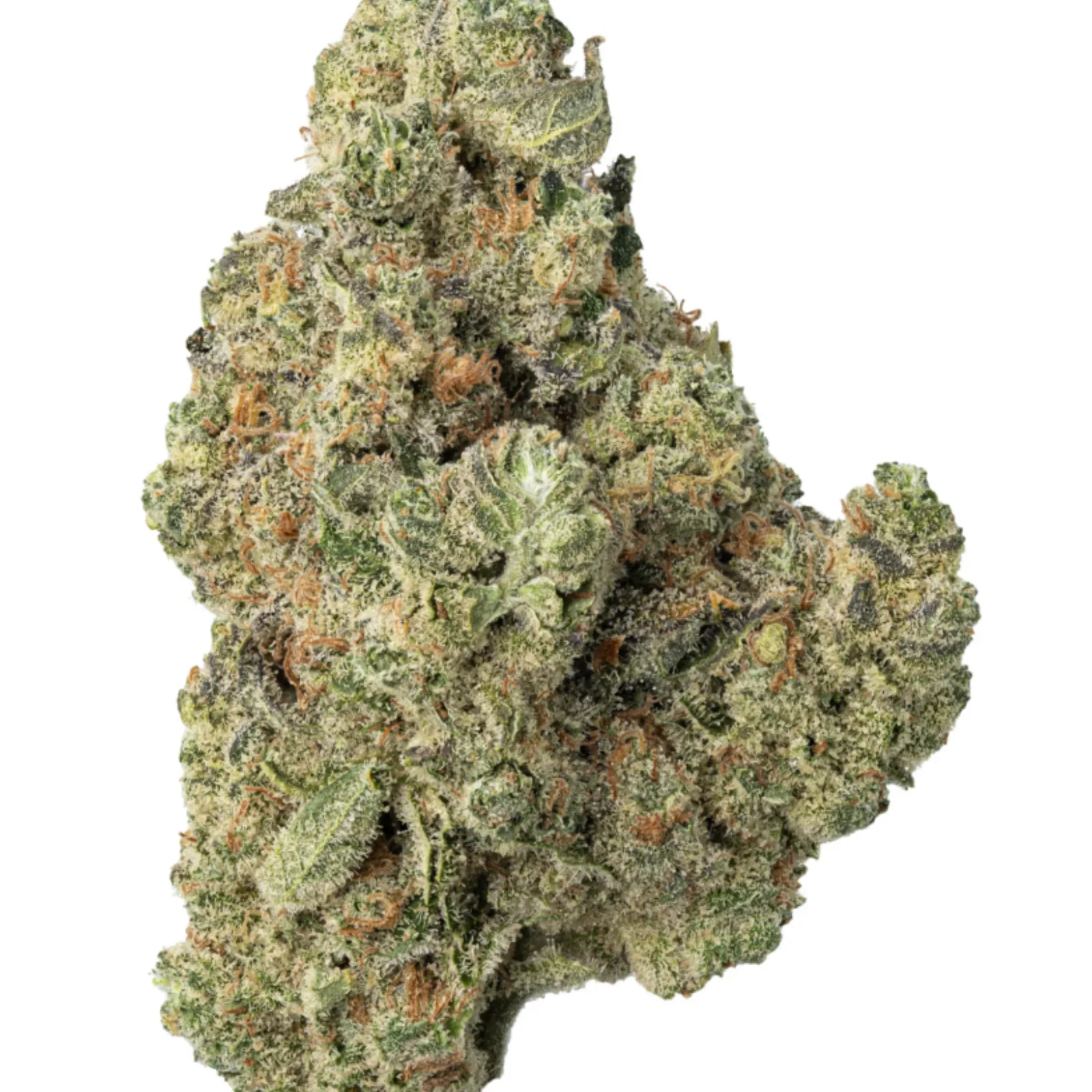 BlackBerry-CBD-Paris