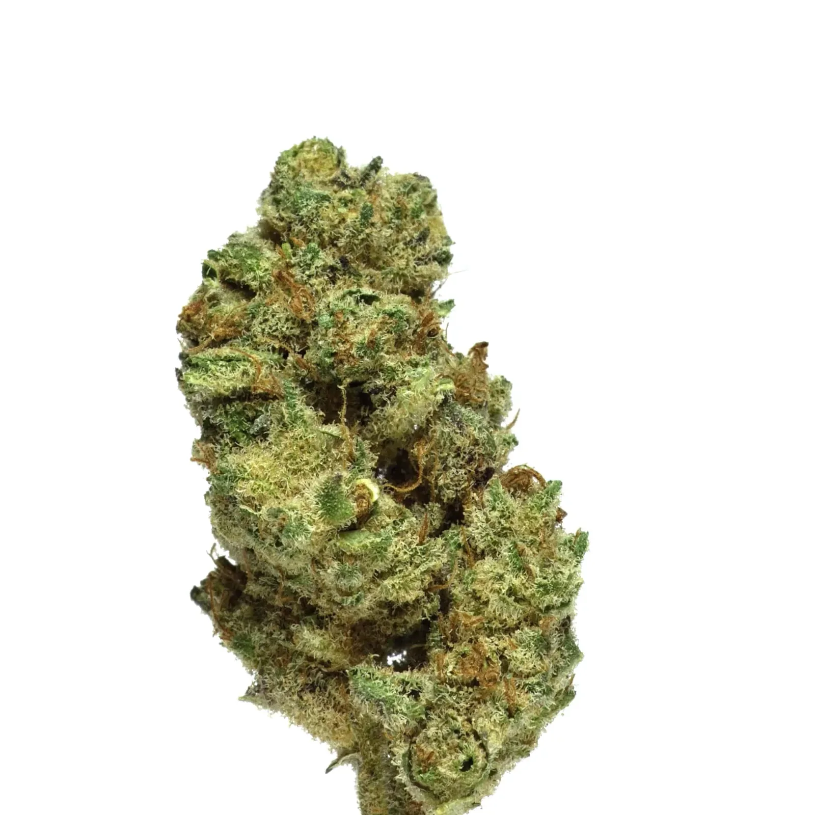 Gelato-CBD-Paris