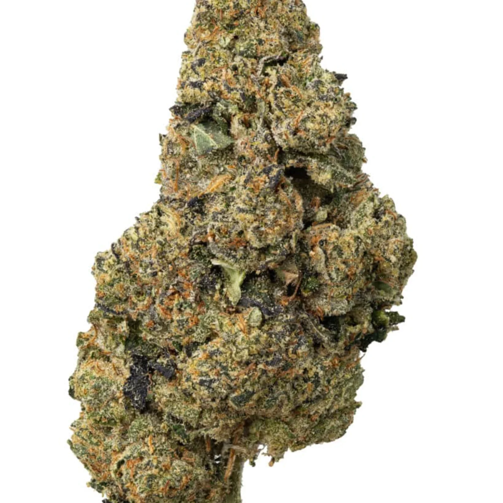 BlackBerry-CBD-Paris