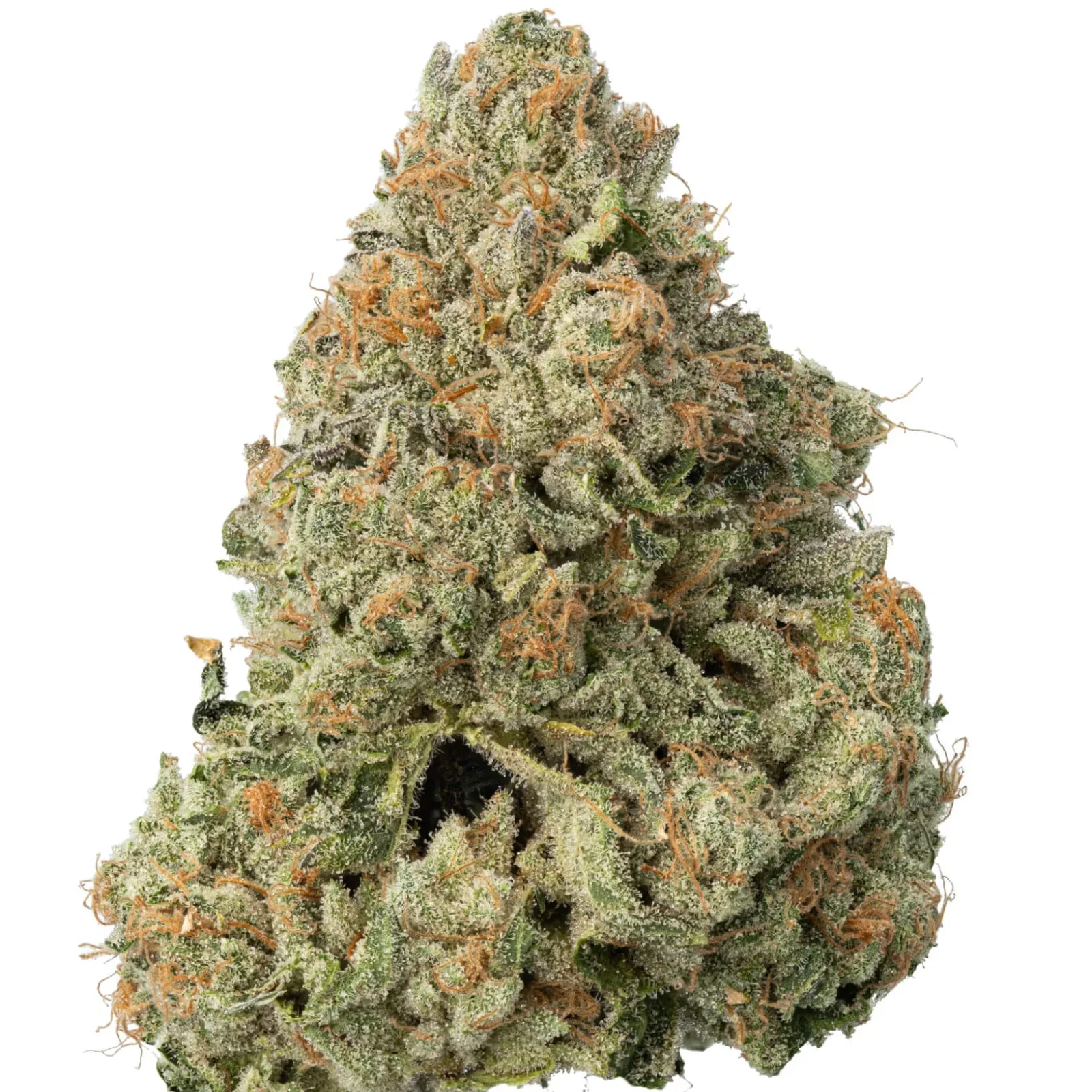 Bruce-Banner-CBD-Paris