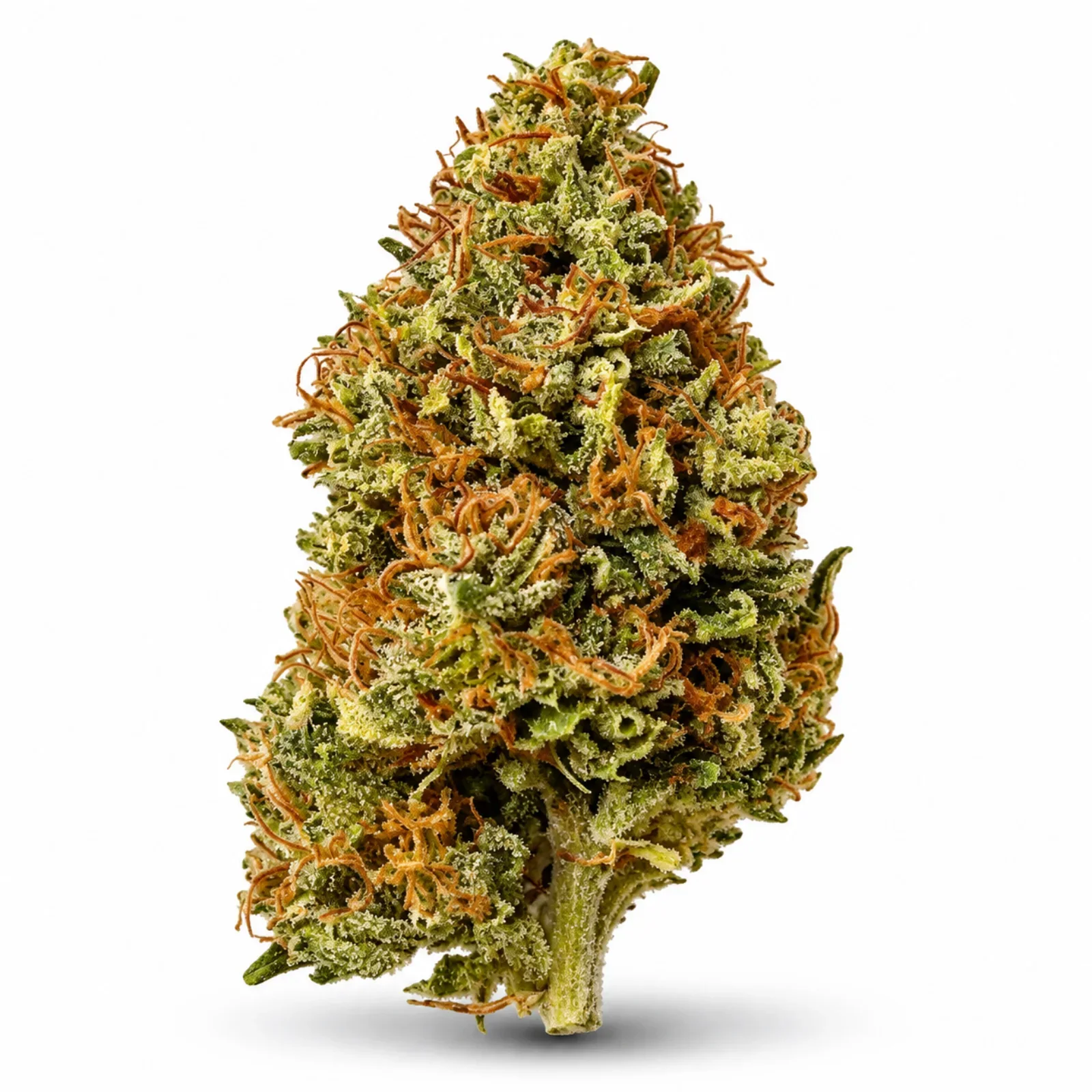 Tropical-CBG-CBD-Paris