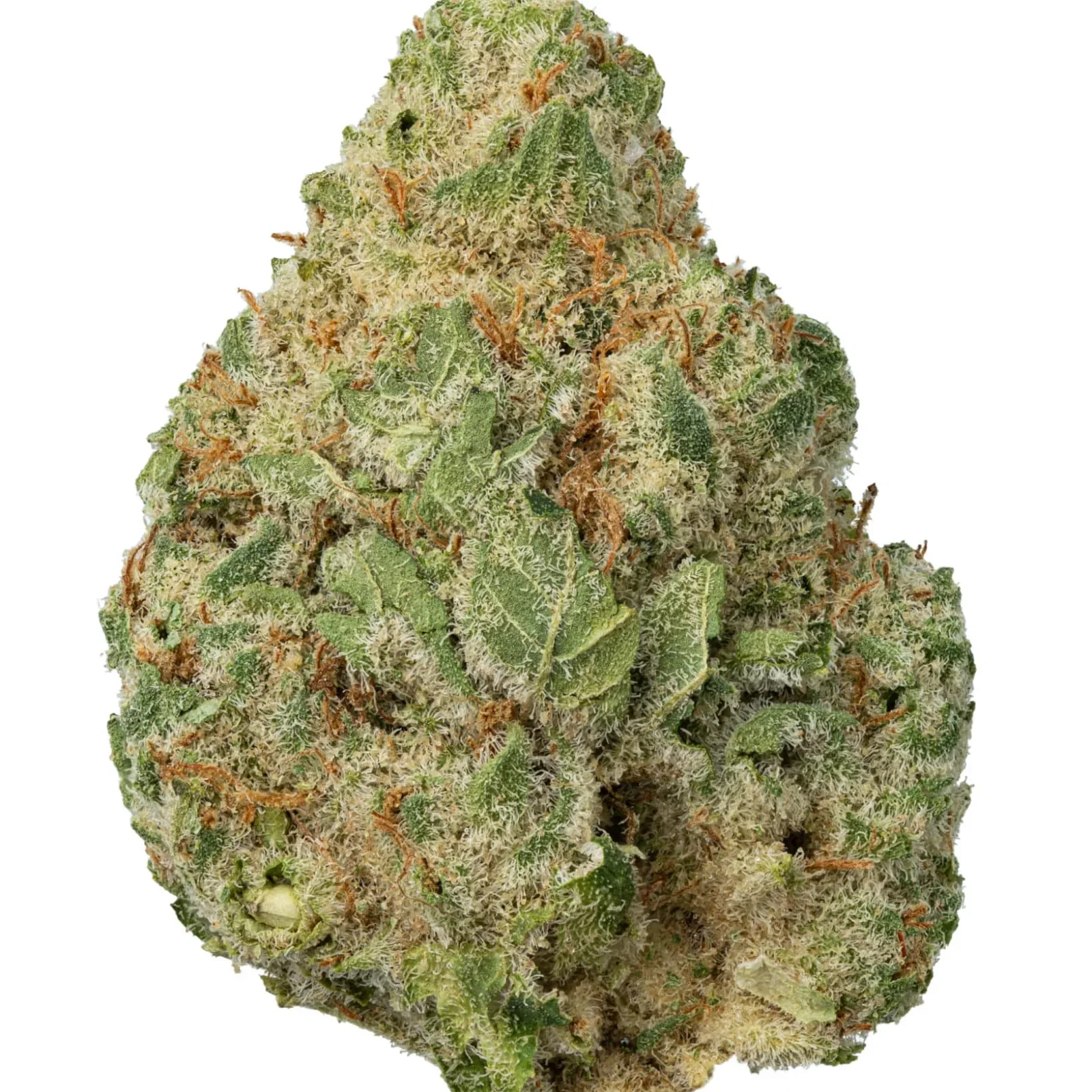 Jungle-Cake-CBD-Paris